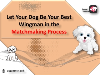 Let Your Dog Be Your Best Wingman in the Matchmaking Process