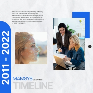 Mamsys Timeline
