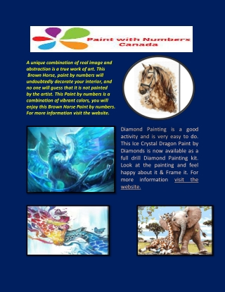 Paint By Numbers Canada