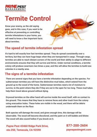 pest and termite control in San diego