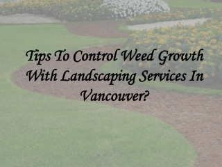 Tips To Control Weed Growth With Landscaping Services In Vancouver