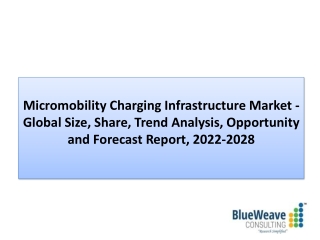 Micromobility Charging Infrastructure Market Insight, Growth, Report 2022-2028