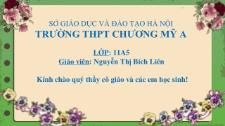 Bài giảng Ngữ văn Lớp 11 - Văn bản: Hai đứa trẻ