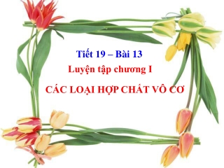 Bài giảng Hóa học 9 - Bài 13: Luyện tập chương 1- Các loại hợp chất vô cơ