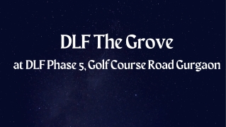 DLF The Grove DLF Phase 5, Gurgaon - Home Is Where The Amenities Are