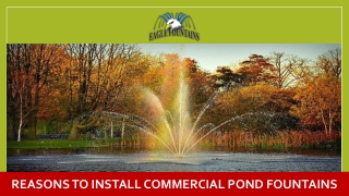 Reasons to Install Commercial Pond Fountains