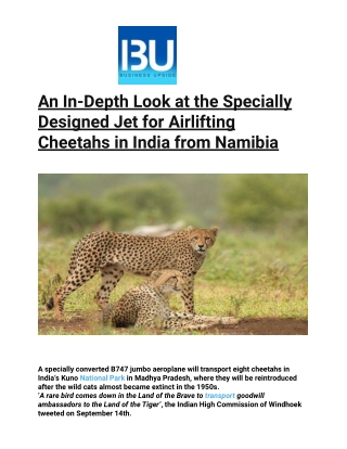 An In-Depth Look at the Specially Designed Jet for Airlifting Cheetahs in India from Namibia