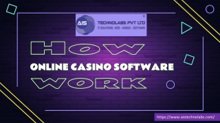 How Online Casino Software Work