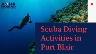Scuba Diving Activities in Port Blair