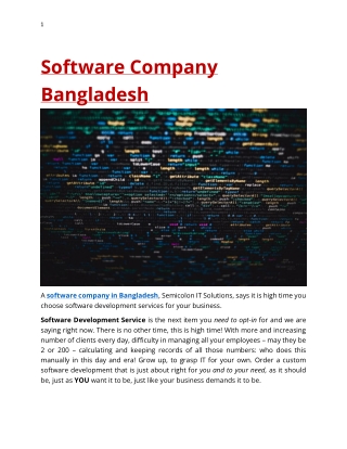 Software Company in Bangladesh - Semicolon IT Solutions