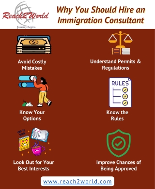 Why you Should Hire an Immigration Consultant