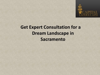 Get Expert Consultation for a Dream Landscape in Sacramento