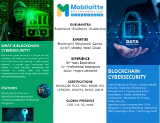 Blockchain Cybersecurity