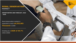 What is Renal Denervation?