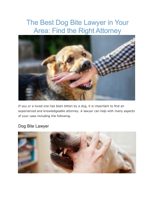 personal injury attorney dog bite