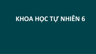 Bài giảng Khoa học tự nhiên 6 - Bài 1: Mở đầu