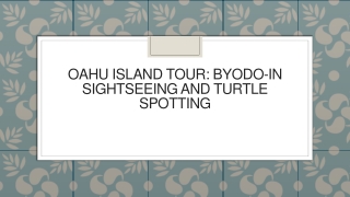 Oahu Island Tour Byodo-In Sightseeing and Turtle Spotting
