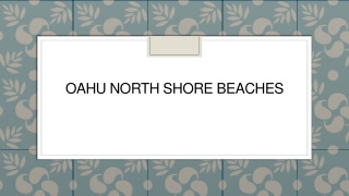 Oahu North Shore Beaches