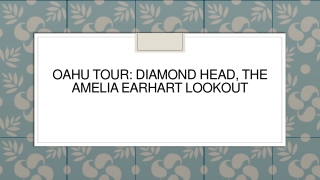 Oahu Tour Diamond Head the Amelia Earhart Lookout