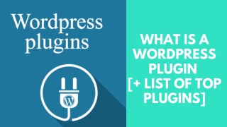 What is a WordPress plugin? | List of the best WordPress plugins