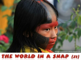 The World in a SNAP (31)