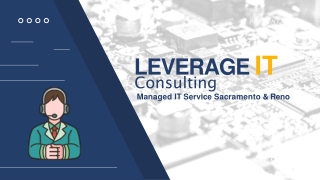 LEverage IT COnsulting