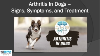 Arthritis In Dogs – Signs, Symptoms, and Treatment | VetSupply