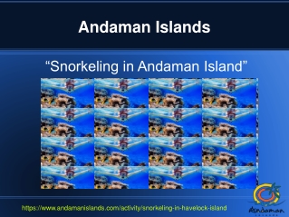 Snorkeling in Andaman Island