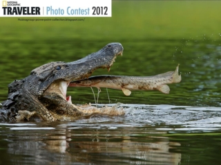 NG Traveler Photo Contest 2012