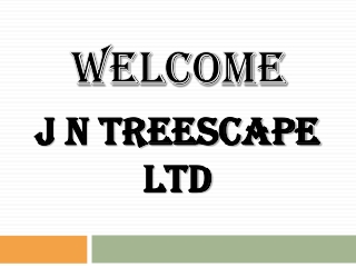 Looking for Hedge Cutting in Basingstoke
