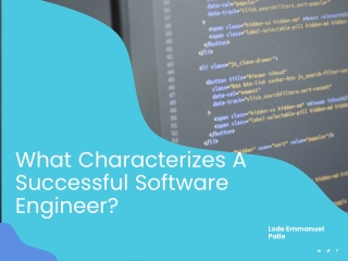 What Characterizes A Successful Software Engineer