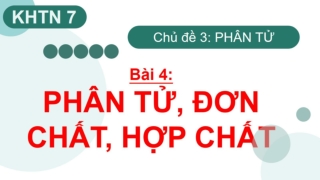 Bài giảng Khoa học tự nhiên 7 - Chủ đề 3: Phân tử
