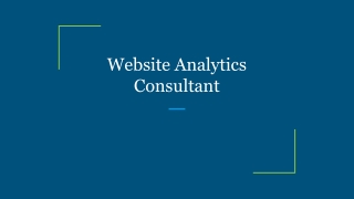 Website Analytics Consultant