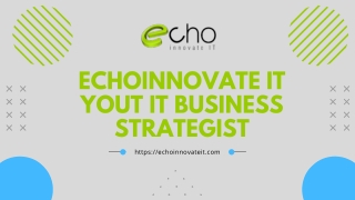 Echoinnovate IT Your IT Business Strategist