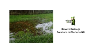 Opt for Highly Durable Drainage Solutions in Charlotte NC