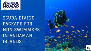 Scuba Diving Package for Non Swimmers in Andaman Islands