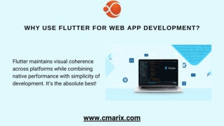 Why Use Flutter for Web App Development?