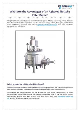 What Are the Advantages of an Agitated Nutsche Filter Dryer?