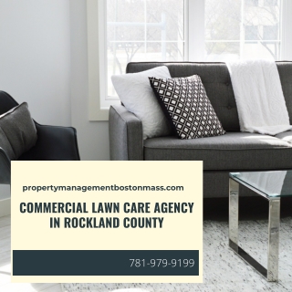 Commercial Lawn Care Agency in Rockland County