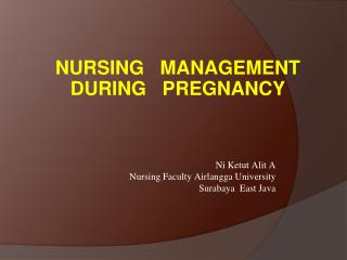 Ni Ketut Alit A Nursing Faculty Airlangga University Surabaya East Java