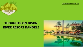 Thoughts on Bison River Resort Dandeli
