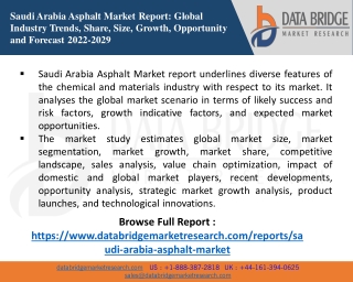 Saudi Arabia Asphalt Market Analysis by Industry Perspective