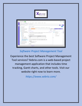Software Project Management Tool
