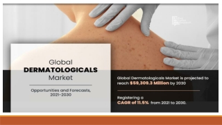 Dermatologicals Market Size, Share, Growth, Trends, Forecast 2022-2030