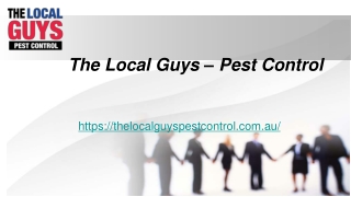 Pest Control Melbourne Northern Suburbs | Thelocalguyspestcontrol.com.au