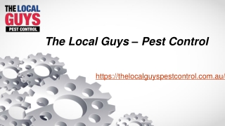 Cockroach Pest Control Sydney | Thelocalguyspestcontrol.com.au