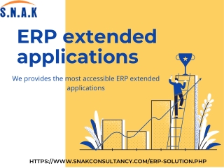 We provides the most accessible ERP extended applications - SCS