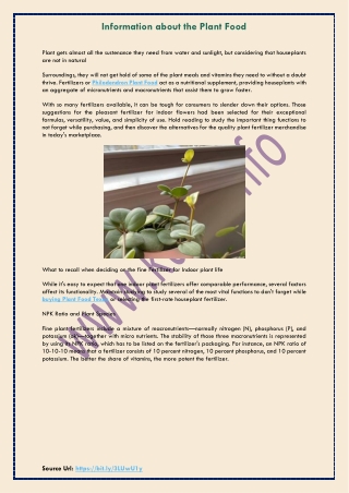 Information about the Plant Food