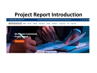 Project Report