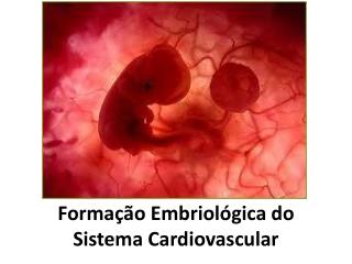Formação Embriológica do Sistema Cardiovascular